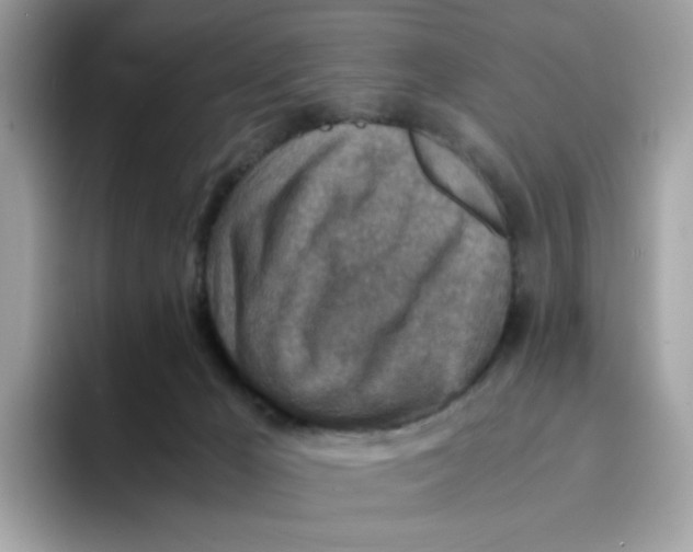 X0000094340029200711301257