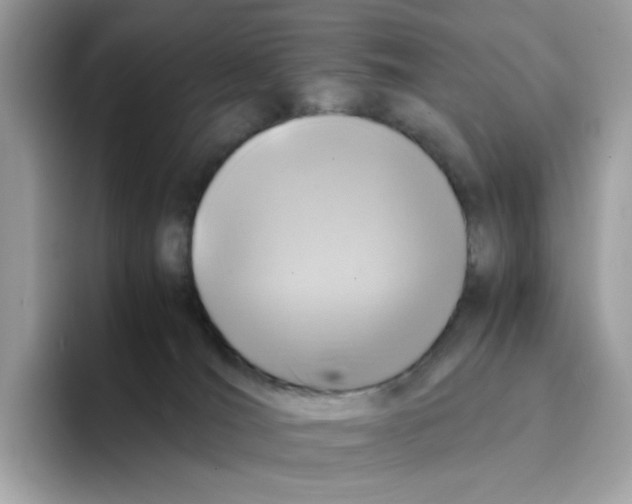 X0000094340036200711301257