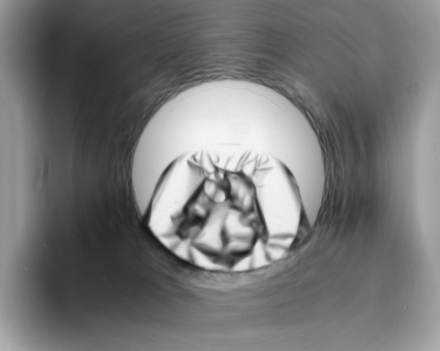 X0000094340037200711301257