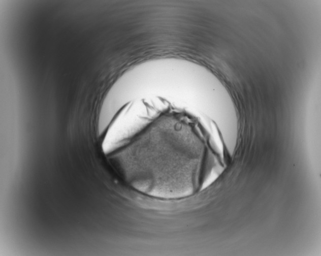 X0000094340039200711301257