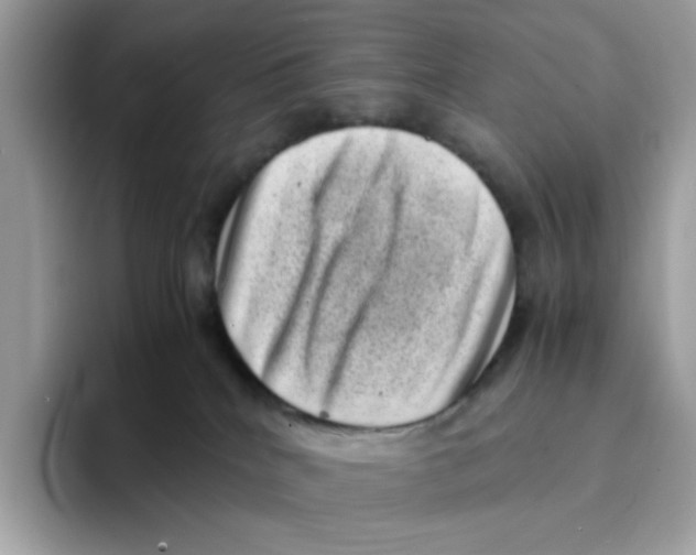 X0000094340040200711301257