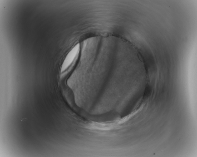 X0000094340041200711301257