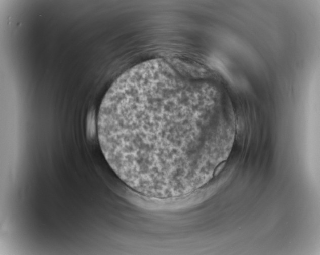 X0000094340046200711301257