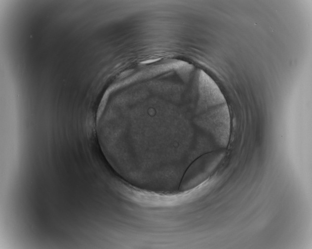 X0000094340048200711301257