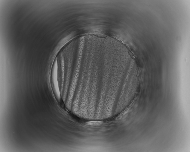 X0000094340051200711301257