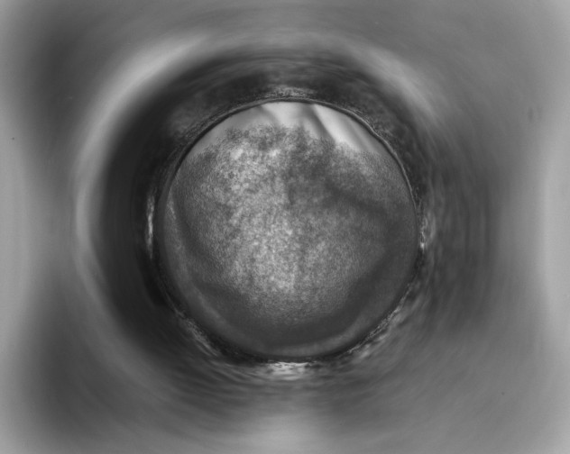 X0000094340052200711301257