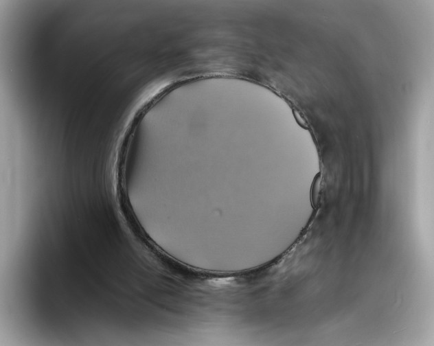 X0000094340054200711301257