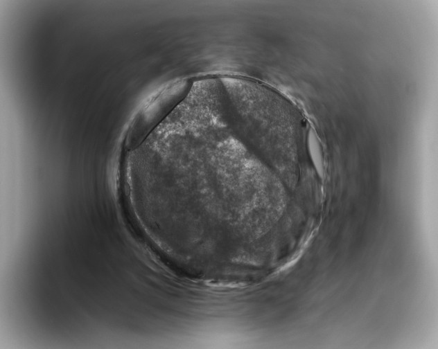 X0000094340056200711301257