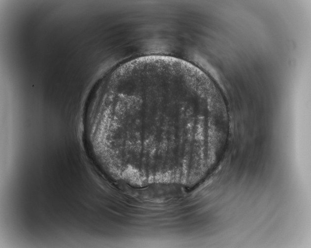 X0000094340059200711301257