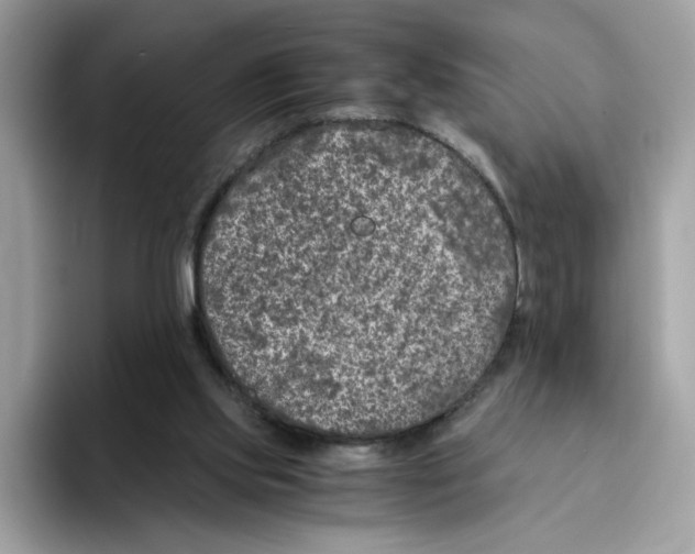 X0000094340061200711301257