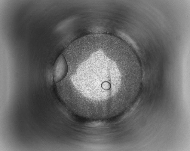 X0000094340065200711301257