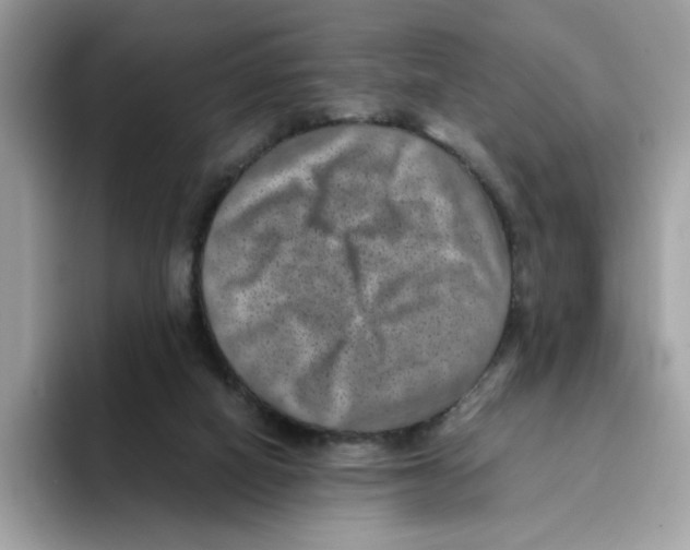 X0000094340066200711301257