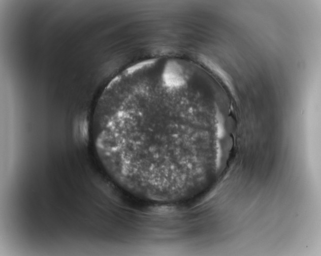 X0000094340067200711301257