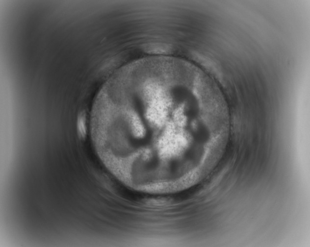 X0000094340069200711301257