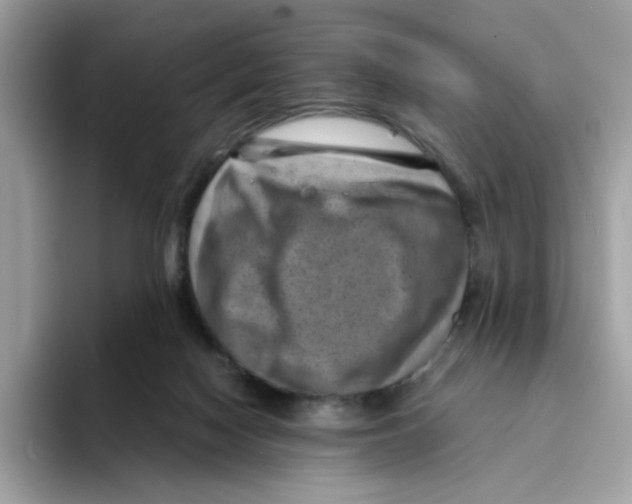 X0000094340074200711301257