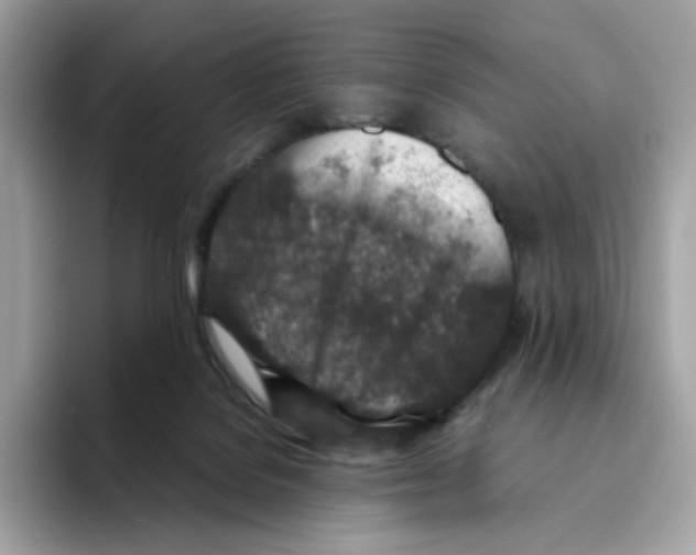 X0000094340076200711301257