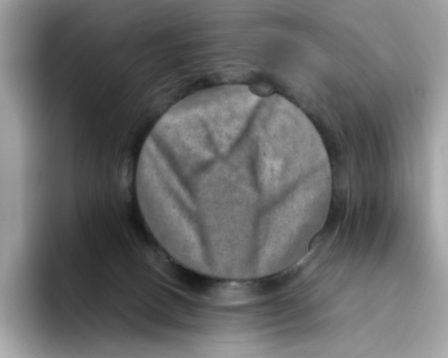 X0000094340082200711301257