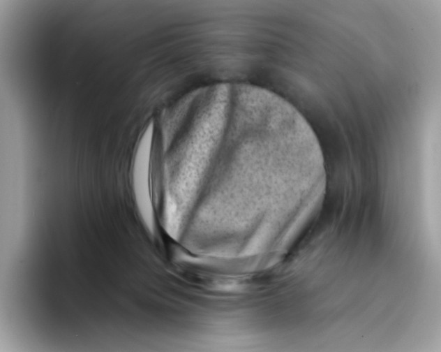 X0000094340084200711301257