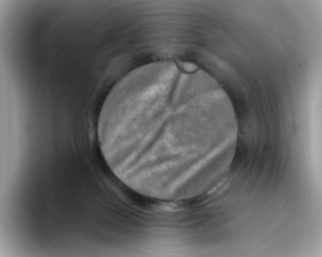 X0000094340086200711301257