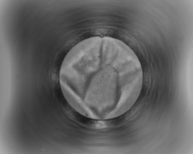 X0000094340091200711301257