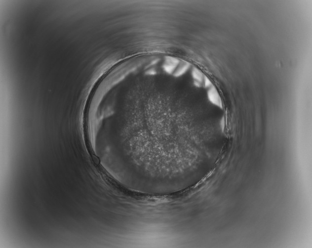 X0000094340099200711301257