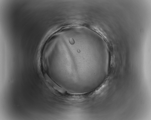 X0000094340101200711301257