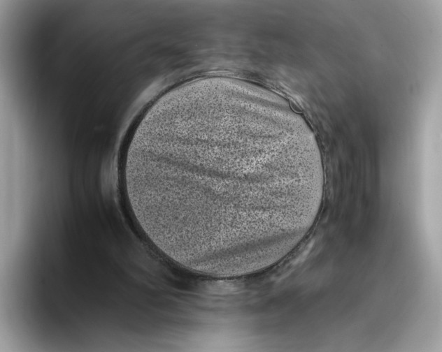 X0000094340102200711301256