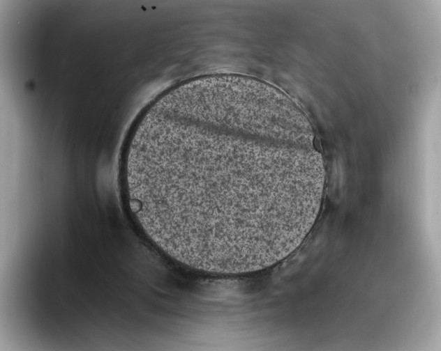 X0000094340104200711301256