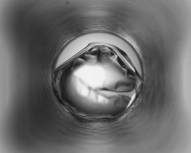 X0000094340105200711301256