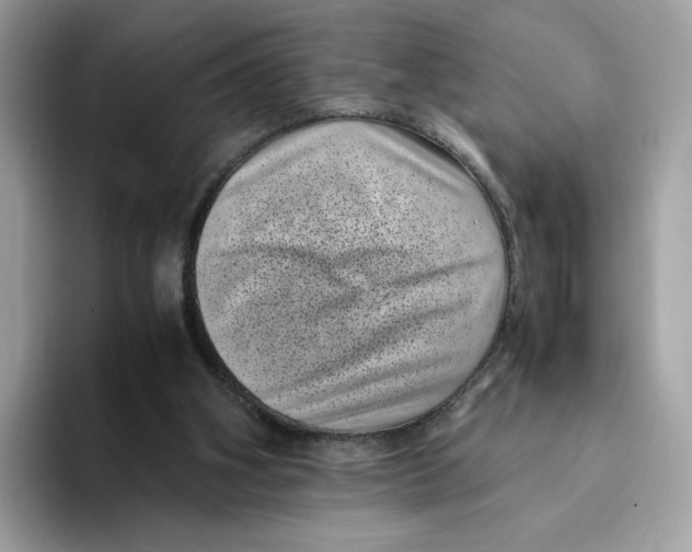 X0000094340106200711301256