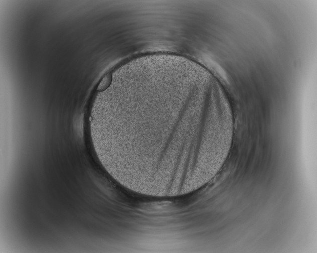 X0000094340108200711301256