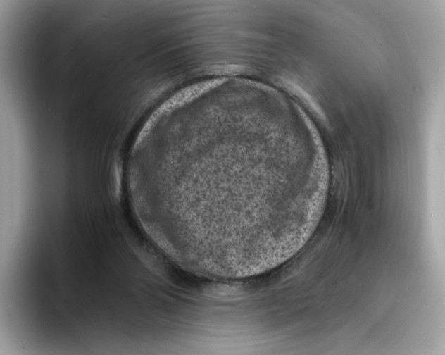 X0000094340110200711301256