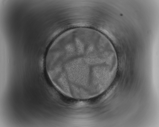 X0000094340111200711301256