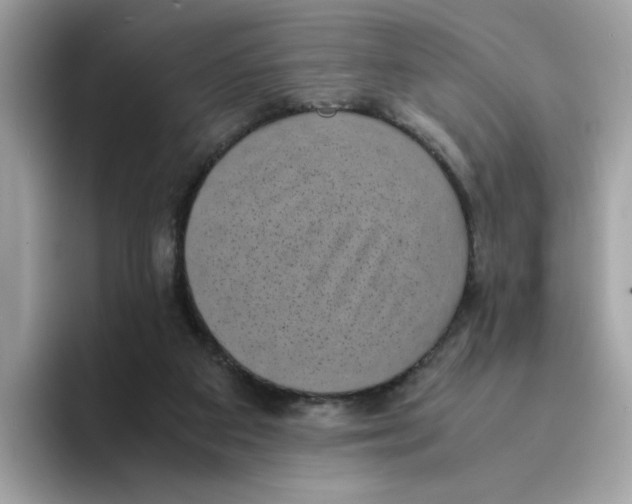 X0000094340113200711301256