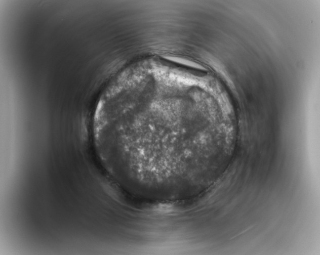 X0000094340114200711301256