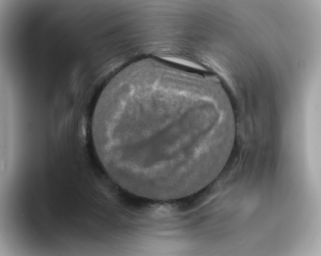 X0000094340115200711301256