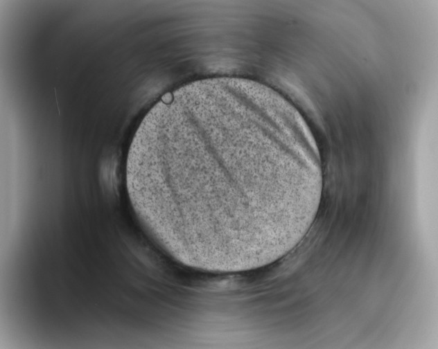 X0000094340116200711301256