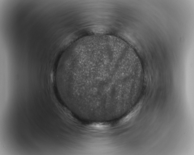 X0000094340117200711301256