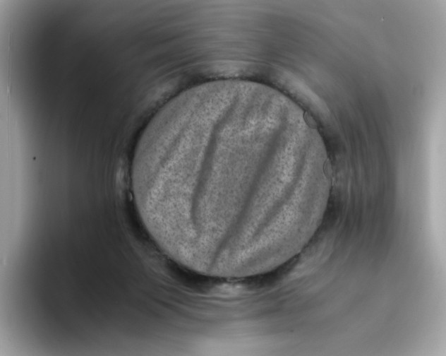 X0000094340119200711301256