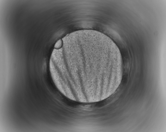 X0000094340120200711301256