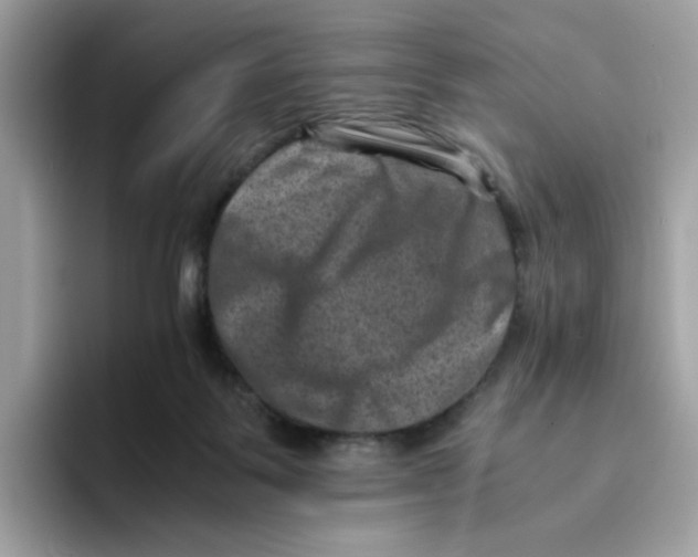 X0000094340123200711301256