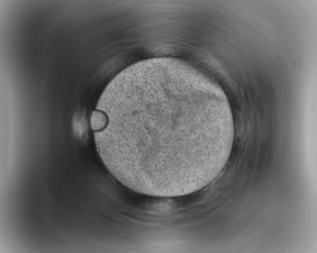 X0000094340124200711301256