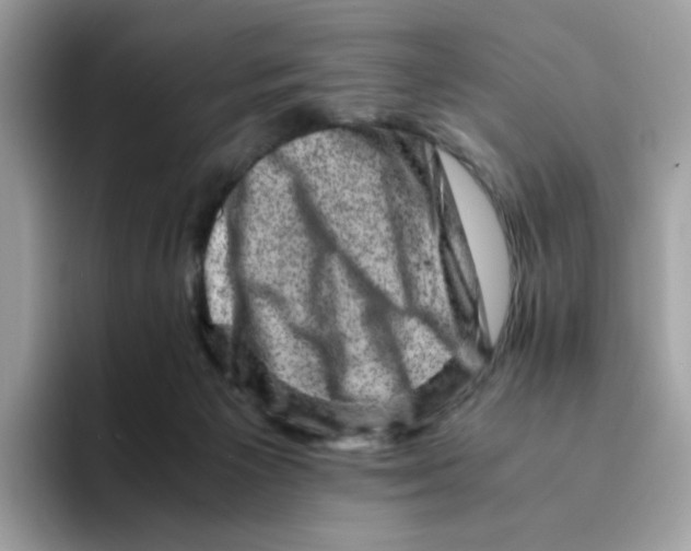 X0000094340125200711301256