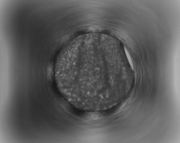 X0000094340127200711301256