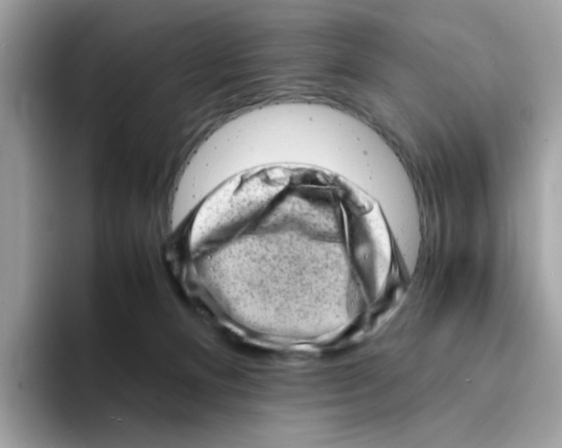 X0000094340128200711301256