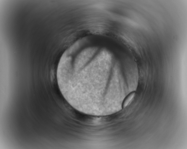 X0000094340130200711301256