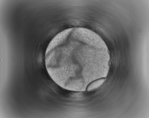 X0000094340132200711301256