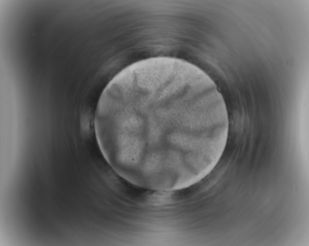 X0000094340138200711301256