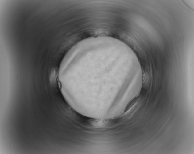 X0000094340142200711301256