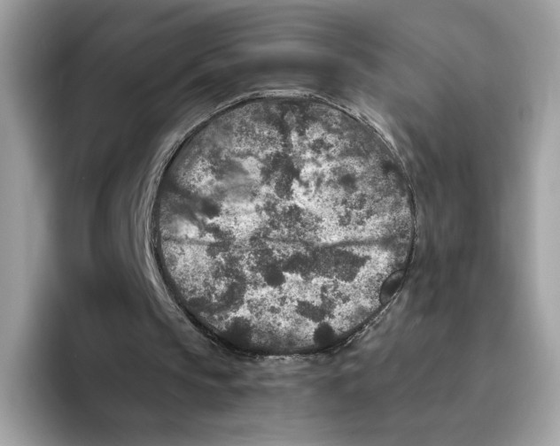 X0000094340145200711301255